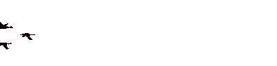 GIF mô tả